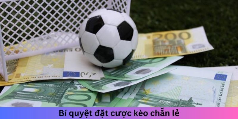 Bí quyết đặt cược kèo chẵn lẻ