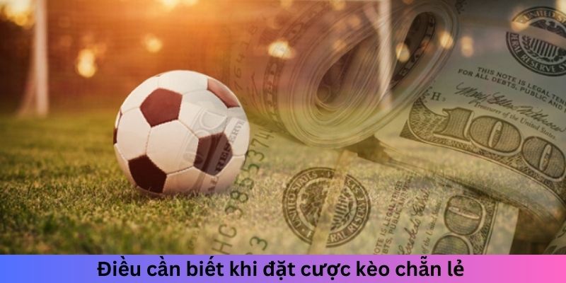 Điều cần biết khi đặt cược