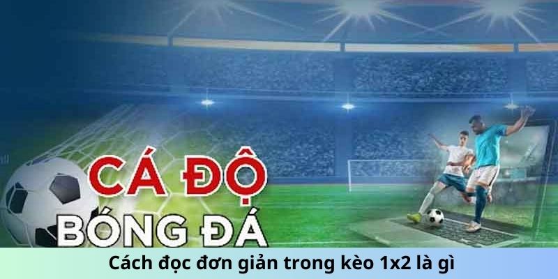 Thuật ngữ cá độ bóng đá