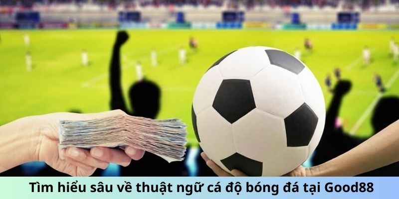 Tìm hiểu sâu về thuật ngữ cá độ bóng đá tại Good88